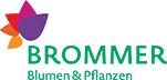 Blumen Brommer